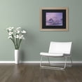 thumbnail image 2 of Trademark Fine Art "Sunset Hues 2" Canvas Art by Michael Blanchette Photography Black Matte, Birch Frame, 2 of 3