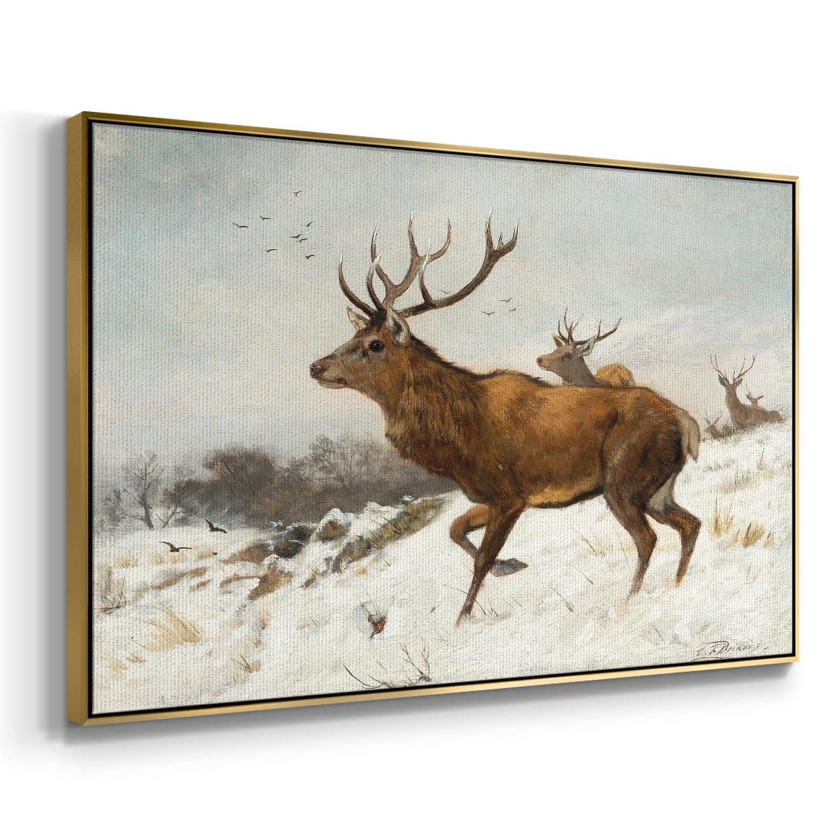 Vintage Animal Print-V By Wexford Home Framed in Gold Wood Gallery Wrapped Canvas 27 in. x 41 in.