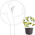 thumbnail image 1 of Muyoka Creative Plant Trellis Metal antioxidante Plant Climbing Rack para plantas en maceta Círculo redondo con pájaro decorativo Marco de soporte duradero para plantas Herramientas de jardín para pla Muyoka Hogar, 1 of 1