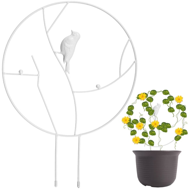Muyoka Creative Plant Trellis Metal antioxidante Plant Climbing Rack para plantas en maceta Círculo redondo con pájaro decorativo Marco de soporte duradero para plantas Herramientas de jardín para pla Muyoka Hogar