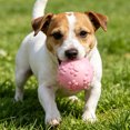thumbnail image 3 of Squeaky Dog Ball Raised Texture Dog Chew Toy Bite-Resistant Puppy Teething Toy for Dogs Teeth Cleaning Boredom Relief, 3 of 8