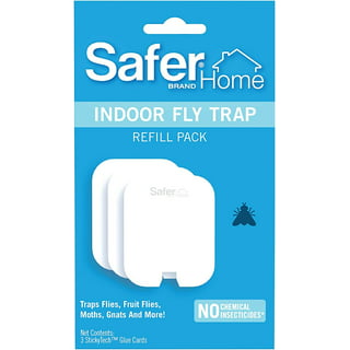 indoor fly trap｜TikTok Search
