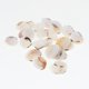 thumbnail image 5 of Beach Conch, para pecera, hogar, decoraciones , pecera y jarrón Gloria Decoración del tanque de peces de acuario, 5 of 9