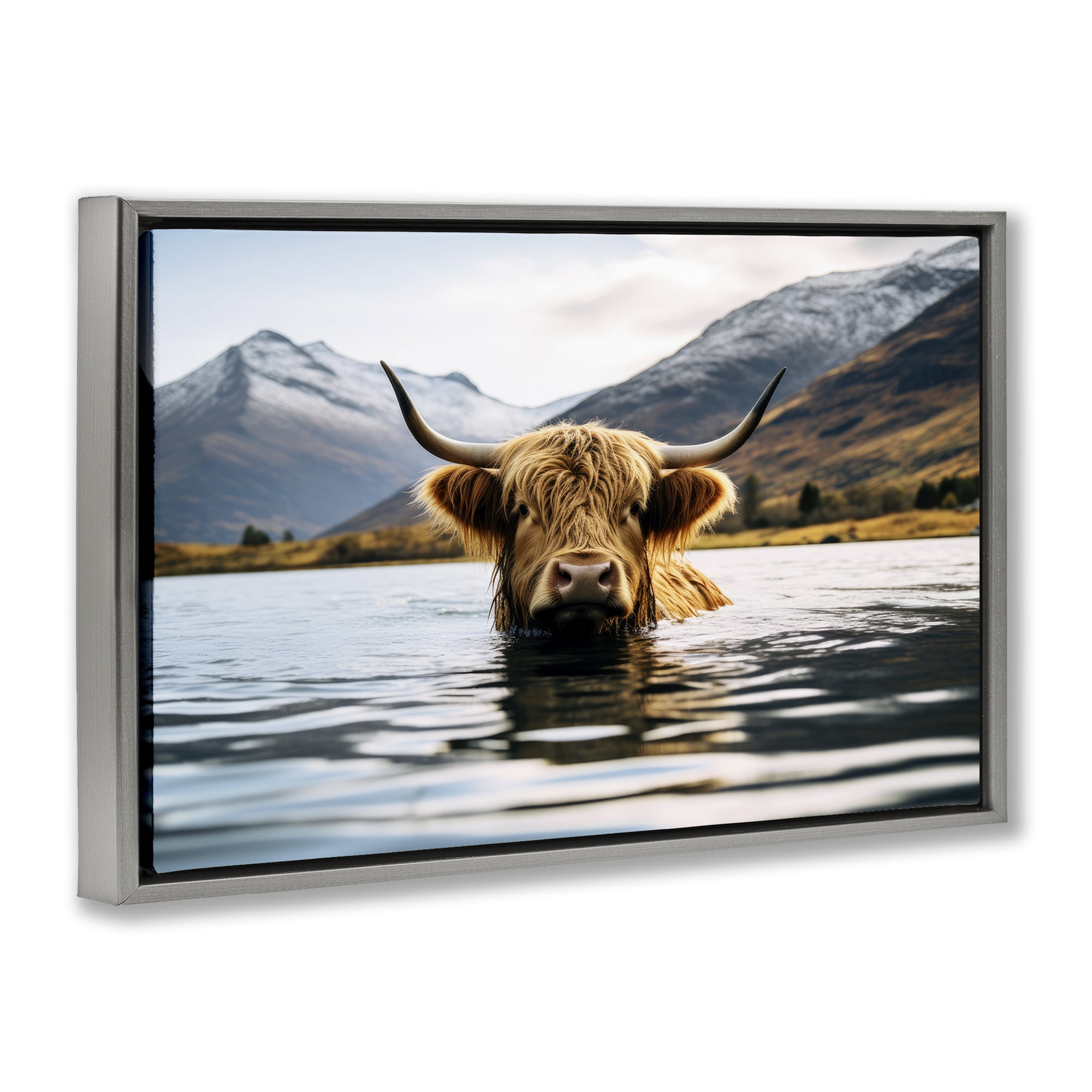 Stupell Industries Cattle Peeking from Water Animals Photography Gray Floater Framed Canvas Art Print Wall Art, 31 x 21