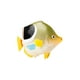 thumbnail image 5 of Conjunto de modelos realistas CUTICAT Figuras de acción de peces Juguetes educativos, 5 of 5