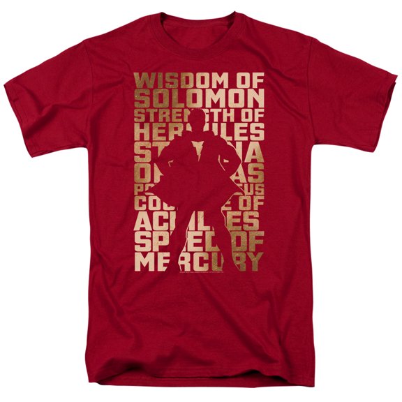 Shazam Movie Sihouette Adult 18/1 T-Shirt Cardinal