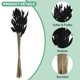 thumbnail image 2 of Uxcell 60 Pack Hierbas de Cola de Conejo 17" para Decoración del Hogar/Boda Negra, 2 of 7