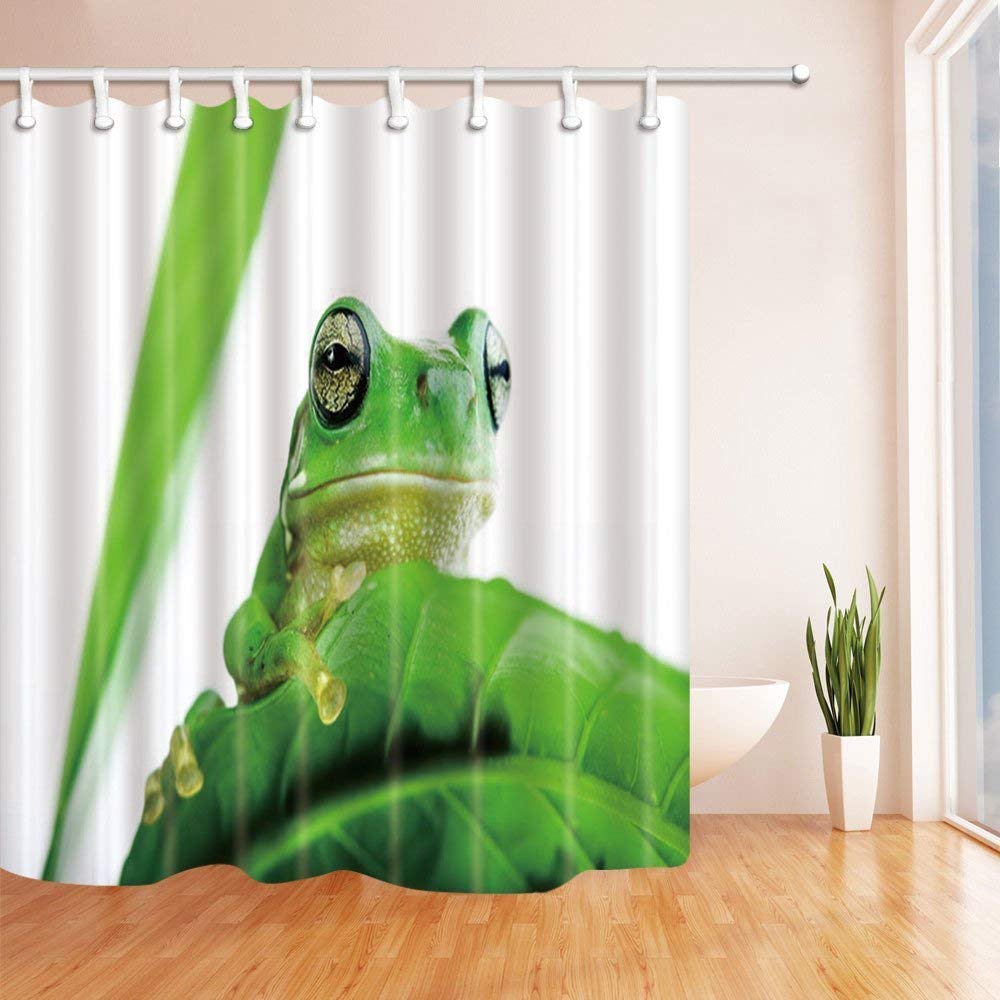 BPBOP Animal Frog on Tropical Leaves Polyester Fabric Bath Curtain