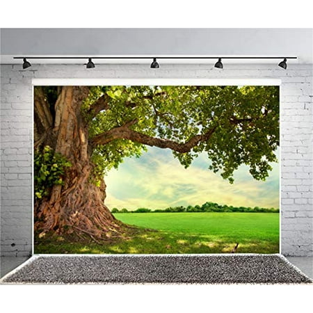 CSFOTO 10x7ft Huge Green Tree Backdrop Spring Scenery Outdoor Picnic Background for Photography Countryside Scene Vacation Photo Wallpaper | Walmart Canada CSFOTO 10x7ft Huge Green Tree Backdrop Spring Scenery Outdoor Picnic Background for Photography Countryside Scene Vacation Photo Wallpaper | Walmart Canada