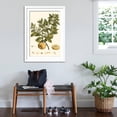 thumbnail image 3 of Art.com Small Miller's Bounty I Art Print by John Miller, White Frame Wall Art, 32" x 44", 3 of 5