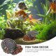 thumbnail image 1 of NUOLUX 1Ud Para Acuario Espacial De Resina Para Paisajismo Color Variado, 1 of 6