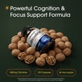 thumbnail image 2 of NatureBell Citicoline 500mg - 120 Capsules - Brain Function Support for Adults - Memory & Focus Aid with CDP Choline & Tyrosine - Fast-Absorbing Formula - Non-GMO & Gluten-Free - 60 Servings, 2 of 8