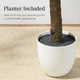 thumbnail image 5 of Best Choice Products 8Ft Artificial Olive Tree, Lifelike Faux Tree, Home Accent Decor w/ Planter Pot, Realistic Trunk, 5 of 10