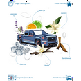 thumbnail image 2 of Désodorisants pour Voiture Sierra Parfum Jasmin (Lot de 14), 2 of 4