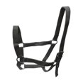thumbnail image 4 of S SERENABLE Horse Halter Portable PP Webbing Wear Resistant for Pasture Contest Practice black, 4 of 8