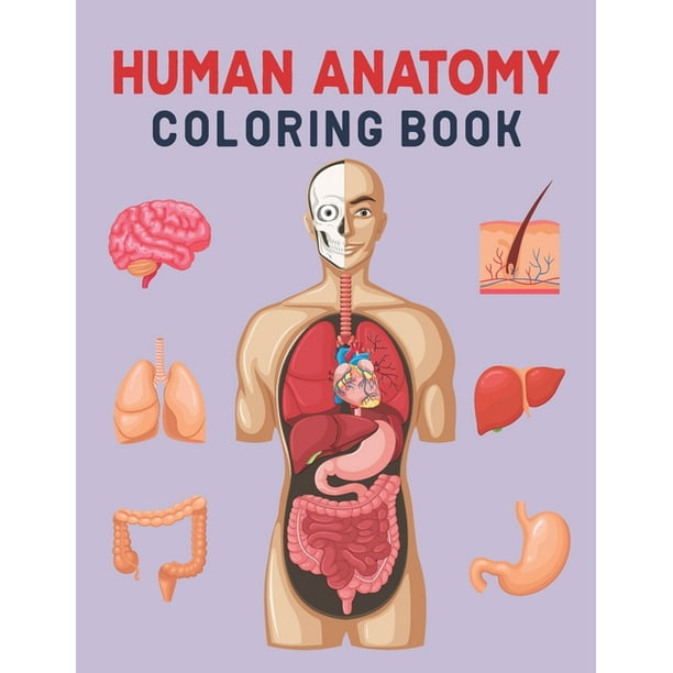 Download Human Anatomy Coloring Book Paperback Walmart Com Walmart Com