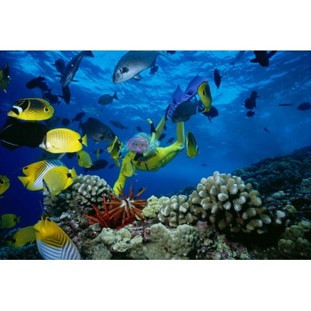 Hawaii Maui Molokini Crater Woman In Yellow Dive Suit Snorkels Over Reef Colorful Fish