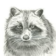 thumbnail image 2 of Wilson, Kelsey 12x12 Gold Ornate Wood Framed with Double Matting Museum Art Print Titled - Watercolor Pencil Forest VI-Raccoon, 2 of 4
