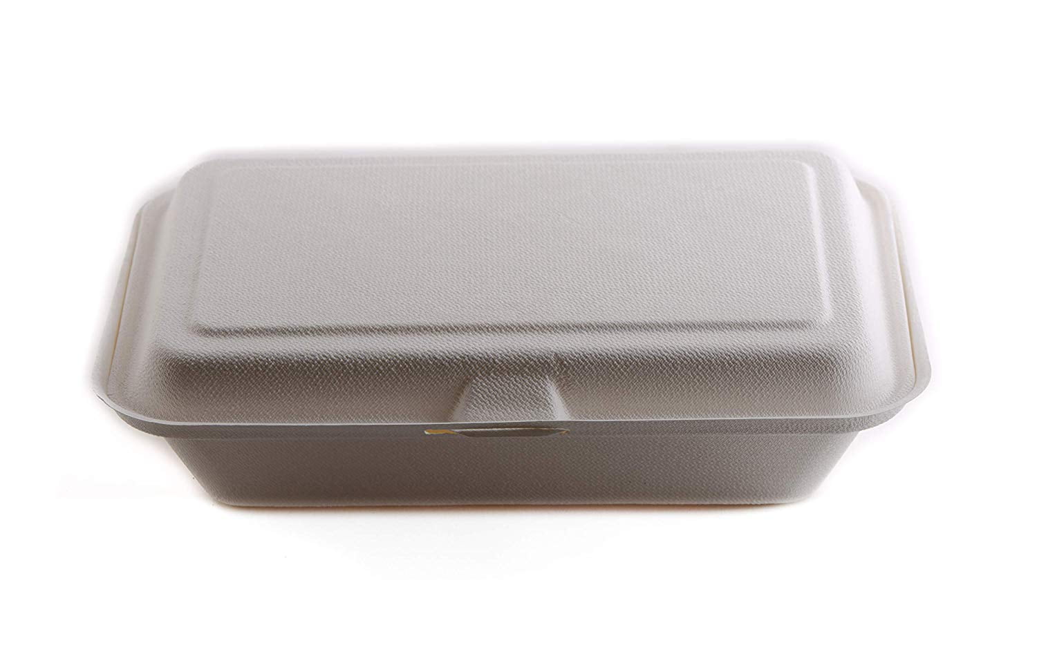 1000 Count - Biodegradable 9x6 Take Out Food Containers with Clamshell  Hinged Lid - Eco Friendly Sugarcane Bagasse 100% Compostable, Recyclable,  ToGo