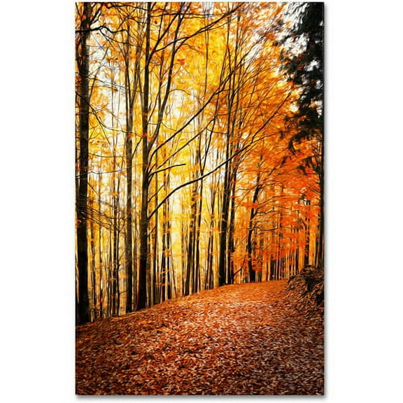 Trademark Fine Art "Yellow Moment" Canvas Art by Philippe Sainte-Laudy