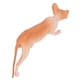 thumbnail image 5 of Modelo De Gato Sin Pelo, Modelo De Animal Educativo Linda Decoración Multiusos Para El Hogar Para Niños ANGGREK Cat Statue, 5 of 8