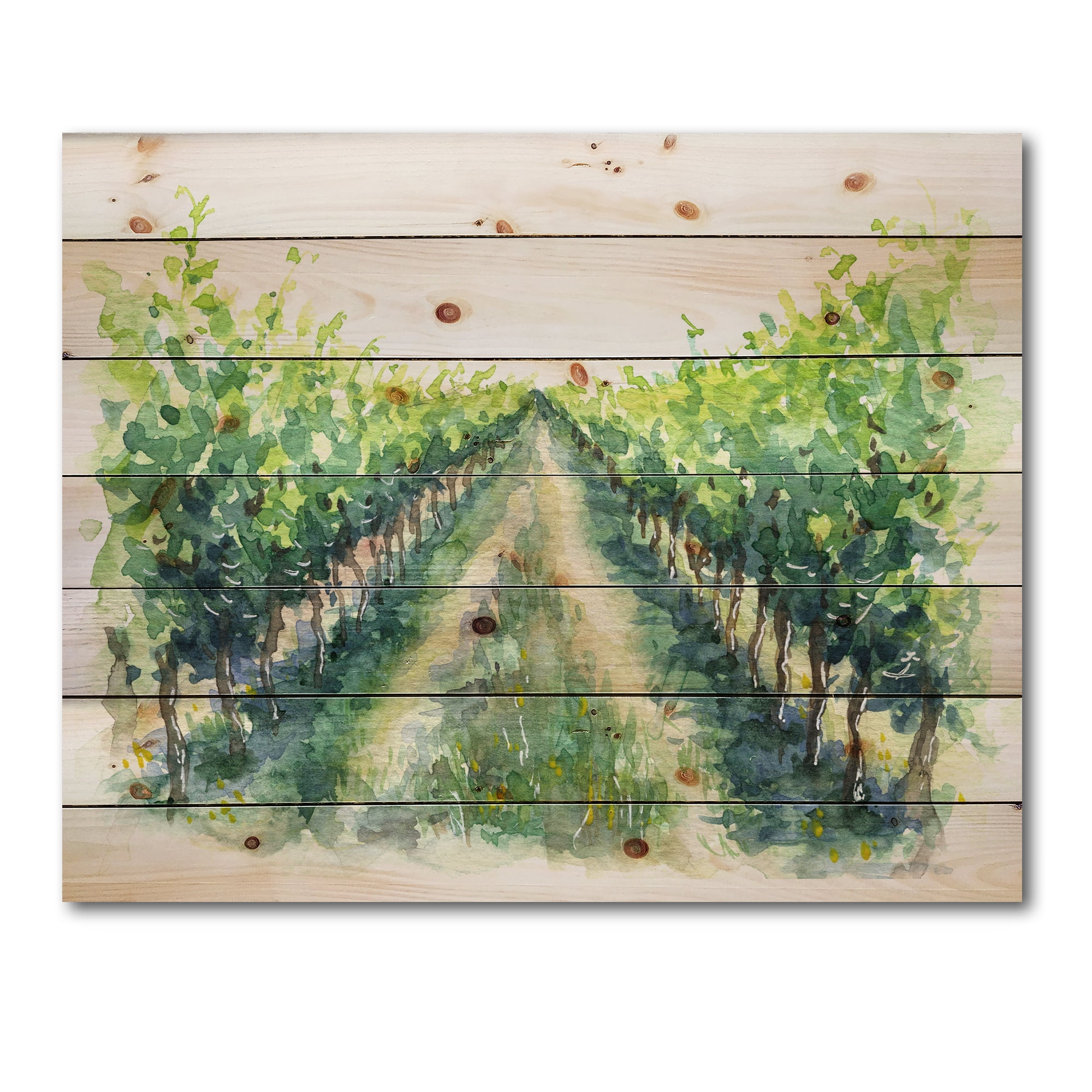 Designart 'Rural Scene Vineyard Path' Traditional Print on Natural Pine Wood
