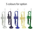 thumbnail image 4 of Trompeta Bb B Flat Brass Exquisite con boquilla Cepillo de limpieza, 4 of 8