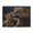 500 Pieces, variant on 500-Piece Wooden Jigsaw Puzzle for Adults - Lioness And Cub Rain , Fun & Relaxing Family Game, No-Dust Interlocking Pieces, Perfect Wall Decor & Holiday Gift