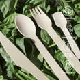 thumbnail image 6 of Ofourteen Disposable 6.25 inch Wooden Fork, 100-Count, Made of Magnolia Wood, 6 of 6