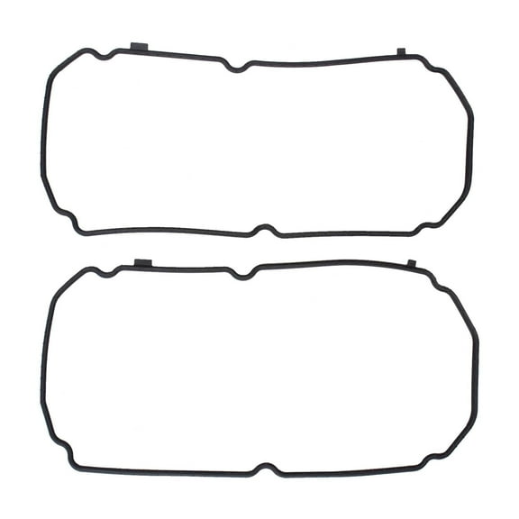 DNJ VC166G Valve Cover Set Fits Cars & Trucks 07-15 Mitsubishi Outlander 3.0L SOHC