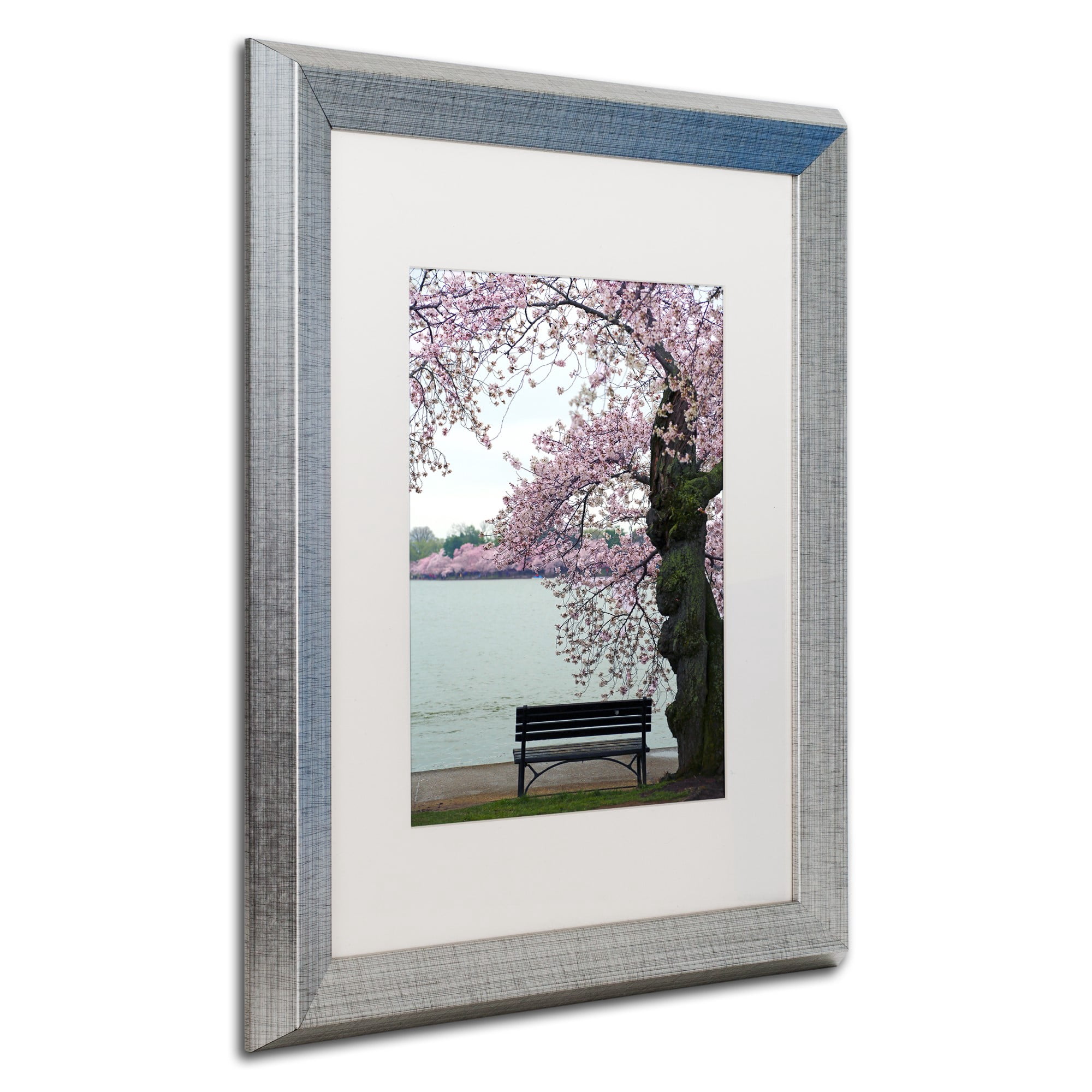 Trademark Fine Art "Tranquility" Canvas Art by CATeyes, White Matte, Silver Frame