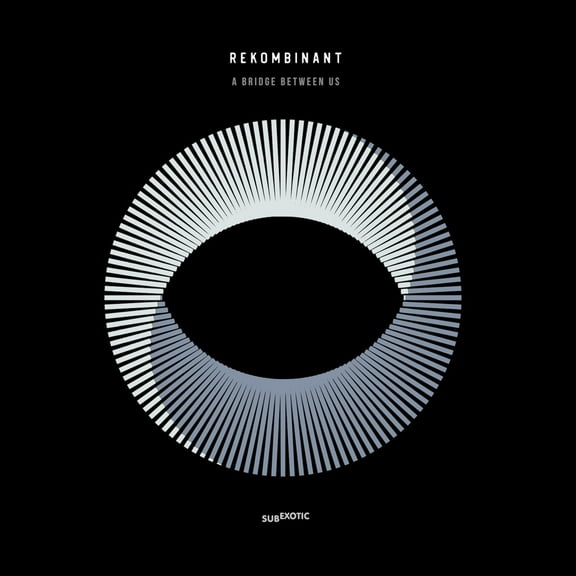Rekombinant - A Bridge Between Us - Music & Performance - Vinyl