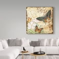thumbnail image 3 of Trademark Fine Art 'Inspirational Butterflies 4' Canvas Art by Jean Plout, 3 of 3