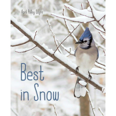 Best in Snow - eBook