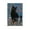 Unframe-style, variant on Gustav Klimt, Black Cat In A Garden Wall Art-Funny Black Cat Art Gift Canvas Painting Picture Print Canvas Poster Wall Paint Art Posters Decor Modern Home Artworks Gift 12x18inch(30x45cm)