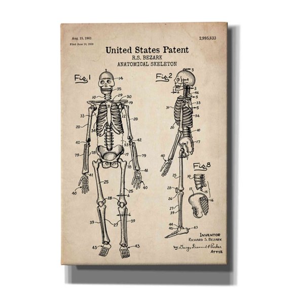 Epic Graffiti "Anatomical Skeleton Blueprint Patent Parchment" Giclee Canvas Wall Art, 18"x26"