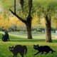 thumbnail image 3 of 3pcs Gato Garden Scarer Cat Outdoor Decorative Stakes For Home Decor, 3 of 9