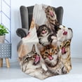 thumbnail image 3 of Kittens Throw Blanket, Licking Cats with Funny Faces Whimsical Furry Friends Pets Animals Love, Flannel Fleece Accent Piece Soft Couch Cover for Adults, 50" x 60", Grey Pale Brown Taupe, by Ambesonne, 3 of 4