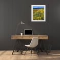 thumbnail image 3 of Talbot Frank, Christopher 26x31 White Modern Wood Framed Museum Art Print Titled - California, Cuyamaca Rancho SP Flower landscape, 3 of 4