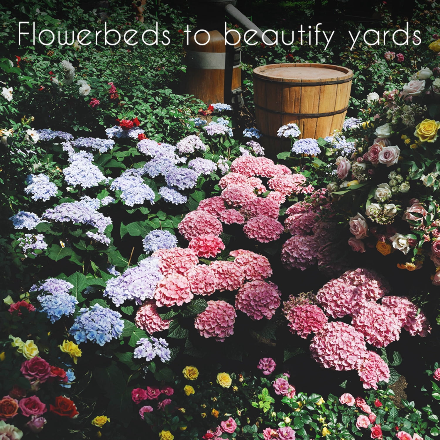 Wildflower, Perennial,  Annual Flower Seed Kit | 35 Variety Pack