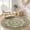 Color 2, variant on SPXUBZ Velvet Round Area Rug Rust Terracotta Grey Antique Medallion Circular Floor Mat Soft Non-Slip Accent Carpet for Living Room Bedroom Vintage Boho Home Decor Throw Rug