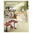 Height Adjustable Standing Desk 1 Inch Thick Solid Top 55x28 Sit Stand ...
