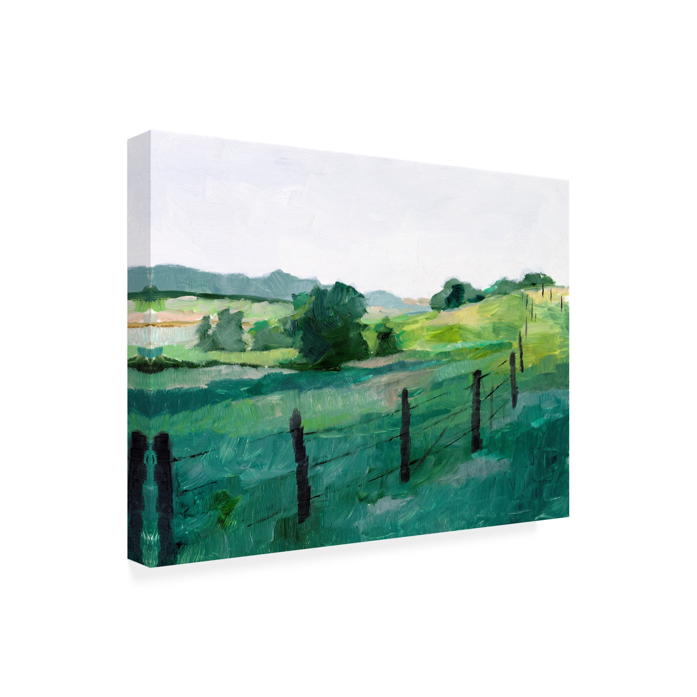 Ethan Harper 'Fence Line I' Canvas Art