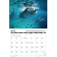 2024 Sharks Calendar