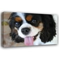 thumbnail image 1 of Karyn Millet 32x23 Gallery Wrapped Canvas Wall Art Titled - King Charles Spaniel, 1 of 4