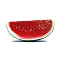 thumbnail image 2 of Vasefill 6-Pack Artificial Watermelon Slice Green Red Fruit Six Pieces Faux' Fake Rodaja de Sandia, 2 of 3