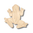 thumbnail image 2 of Unfinished Wood Etched Poison Dart Frog Shape | Paint By Line Crafts 24" / 1/8", 2 of 2