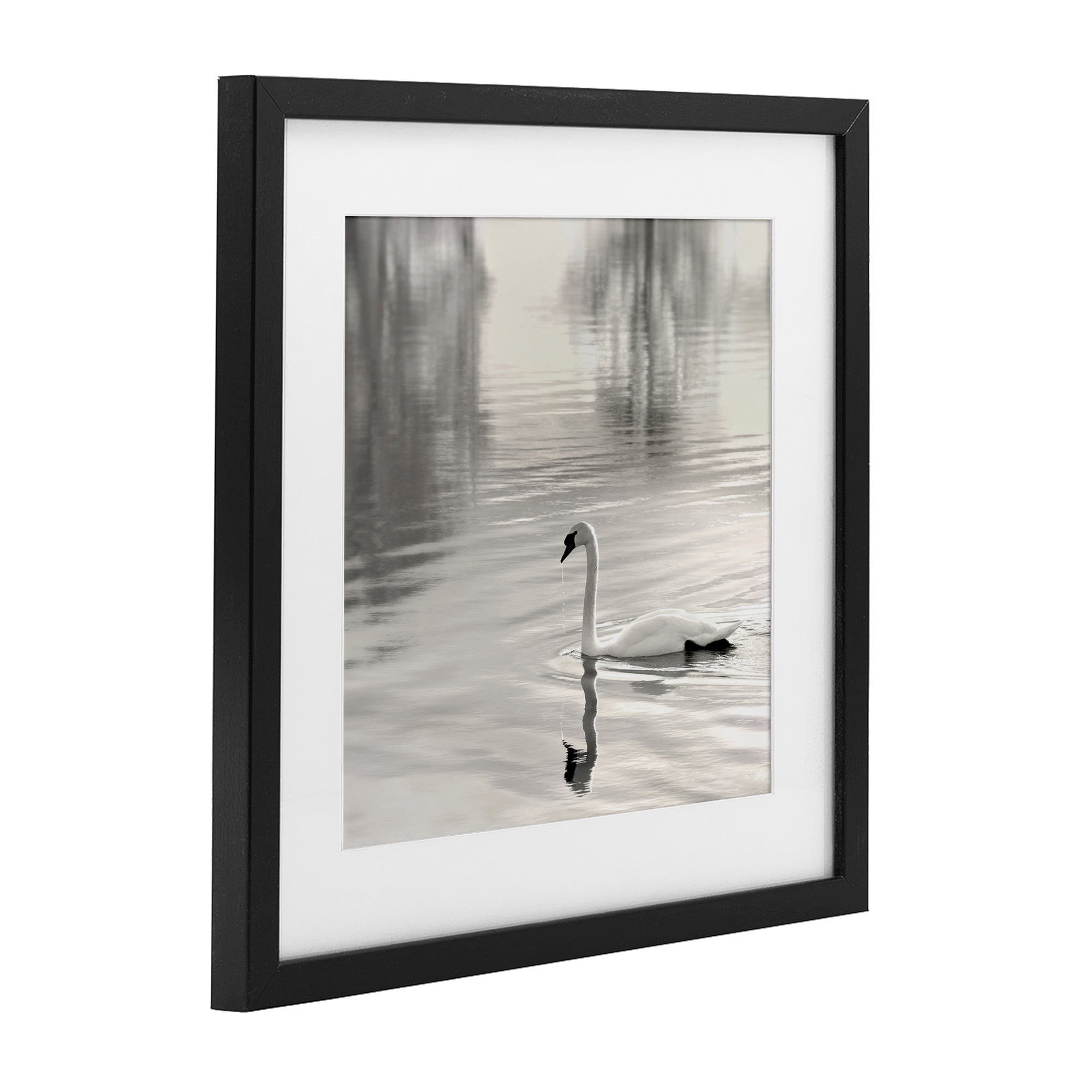 Stupell Industries Morning Sunlit Swan Black Framed Print Under Glass, design by Nicholas Bell