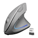 thumbnail image 1 of Ratón Vertical Inalámbrico Ergonómico Recargable 2,4 G Plateado, 1 of 5