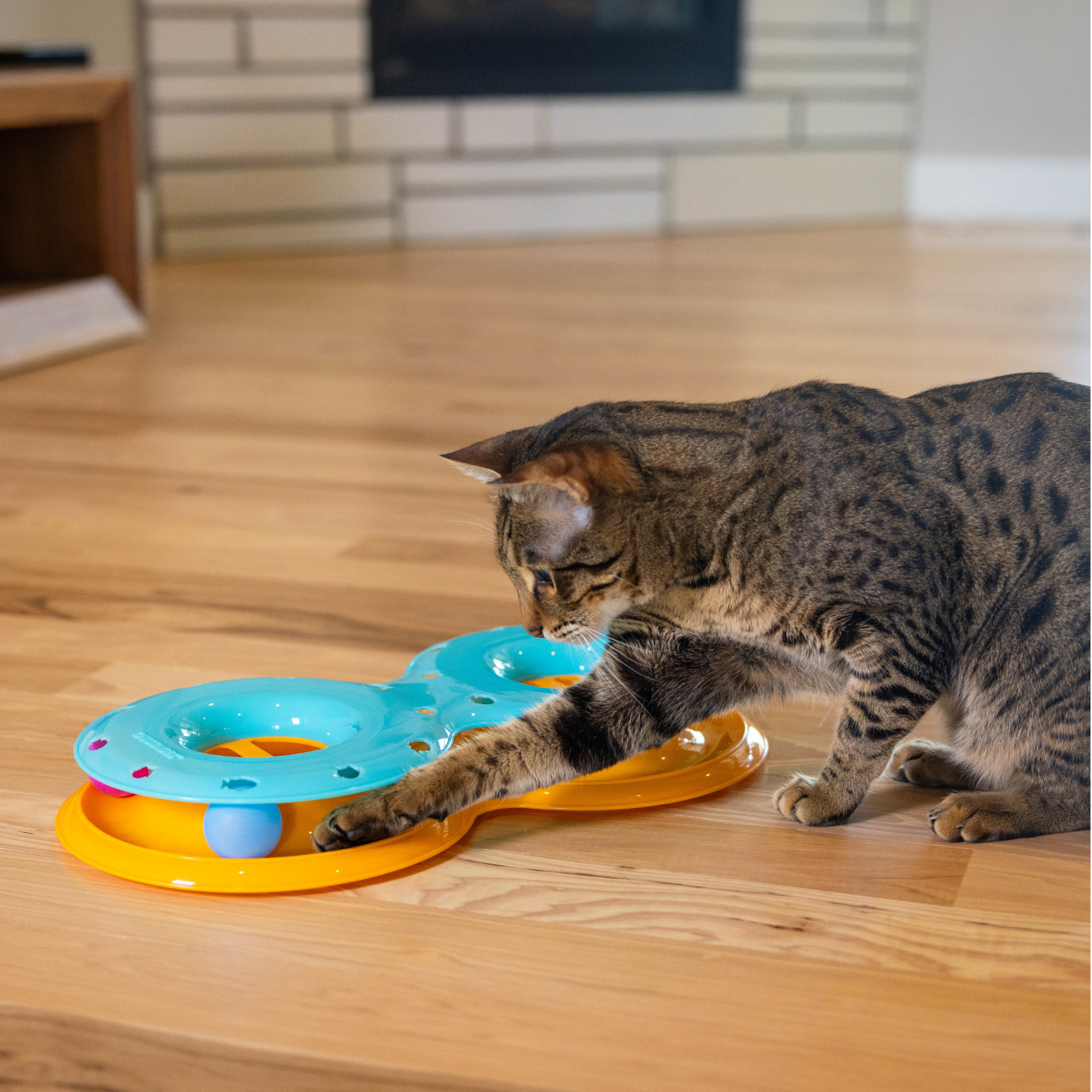Catstages Meowsome Infinity Ball Track for Cats, Blue photo 8